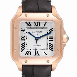 Cartier Santos Mens watch Unisex Automatic WGSA0012