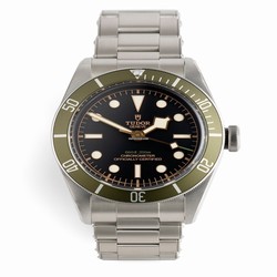 Tudor Black Bay Automatic Steel 79230G