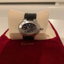 Cartier 21 Must de Cartier Mens watch Unisex Automatic Steel W10147U2
