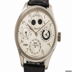 IWC Portuguese Perpetual Calendar Mens watch Unisex Automatic Platinum IW502111