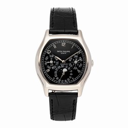 Patek Philippe Perpetual Calendar Mens watch Unisex Automatic White gold 5040G-016