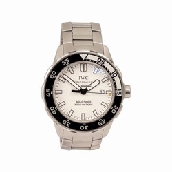 IWC Aquatimer Automatic 2000 Steel IW356809