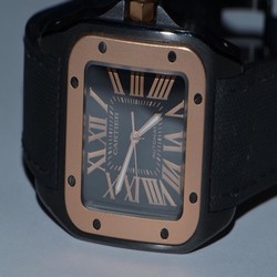 Cartier Santos 100 Mens watch Unisex Automatic Steel W2020007